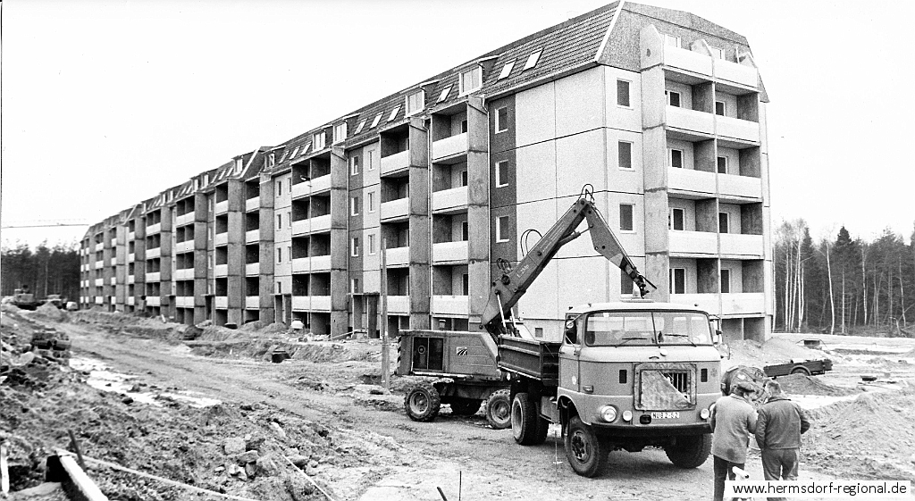 1991-01-25 Birkenlinie 01