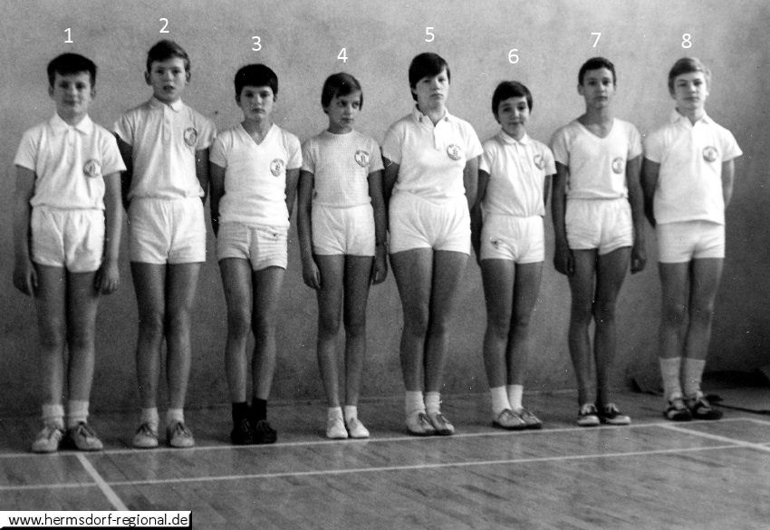 Hermsdorfer Federballer Jugend B im Jahr 1971 
